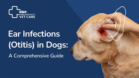 Candida in Dogs' Ears: A Comprehensive Guide