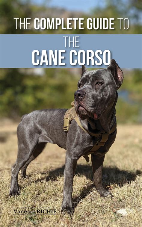 Cane Corso Ebook PDF