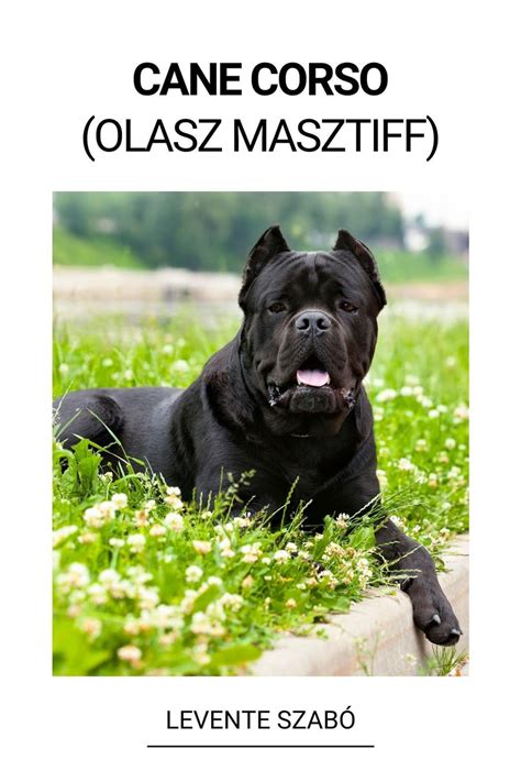 Cane Corso Ebook PDF