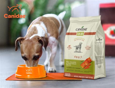 Canidae 狗糧推薦指南：選擇適合毛孩的 10 大品牌