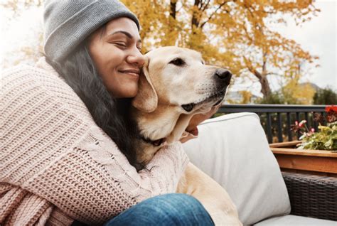 Canine Companionship Redefined: Embark on a Transformative Journey with queentyni