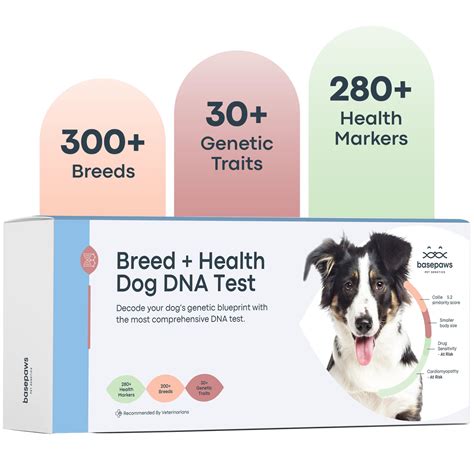 Canine DNA Testing Kits: A Comprehensive Guide for Dog Owners