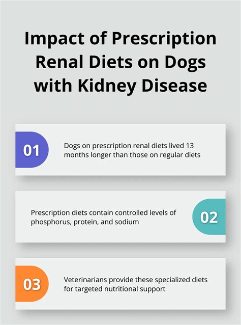 Canine Diet for Kidney Problems: 3 Essential Nutrients for Optimal Health