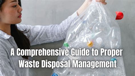 Canine Litter: A Comprehensive Guide to Litter Management and Waste Disposal