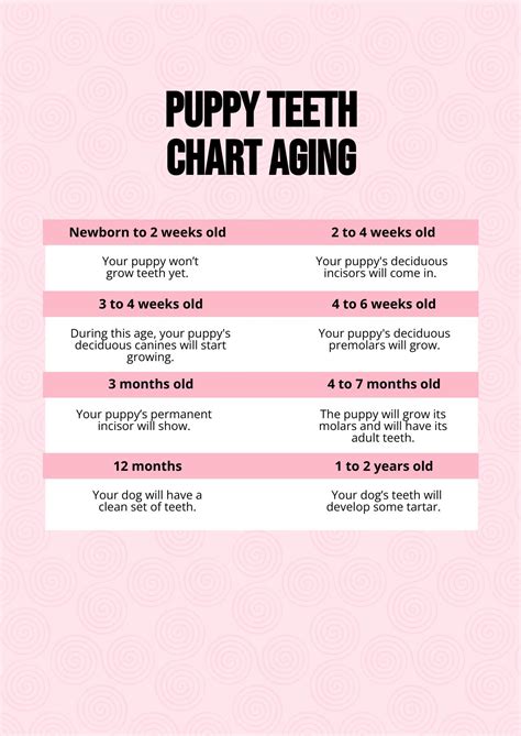 Canine Teeth Age Chart