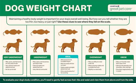 Canine Weight Chart