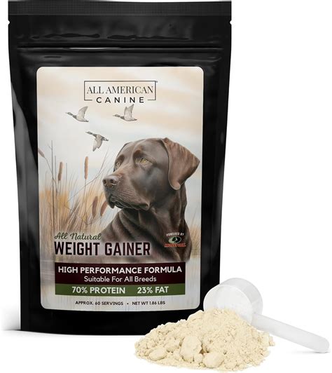 Canine Weight Gain Supplements: Essential Guide to Bulking Up Your Dog