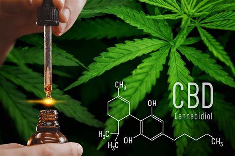 Cannabidiol (CBD): A Natural Wonder for Health and Wellness