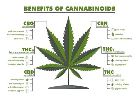 Cannabinoids: