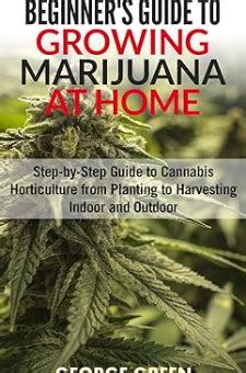 Cannabis A Beginner s Guide to Growing Marijuana Doc