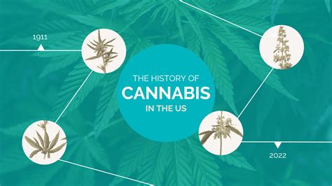 Cannabis A History Epub