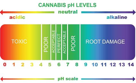 Cannabis Water Ph Chart