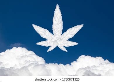 Cannabis in the Clouds: The Rise of Little High Products