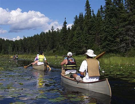 Canoeing in the Wilderness Reader