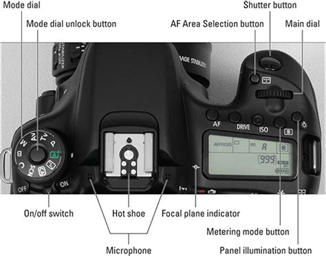 Canon EOS 70D For Dummies Reader