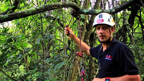 Canopy Anchors: Your Guide to Safe and Efficient Tree Climbing