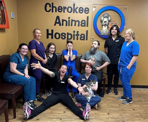 Canton's Top Veterinary Clinics: A Comprehensive Guide