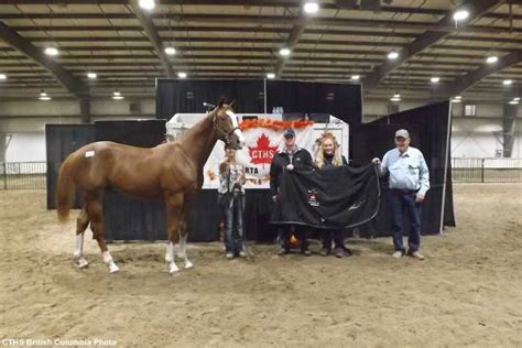 Cap N Powder Thoroughbred Catalog Sale