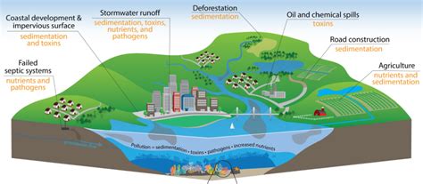 Cap for Waves: A Watershed Moment in Water Management