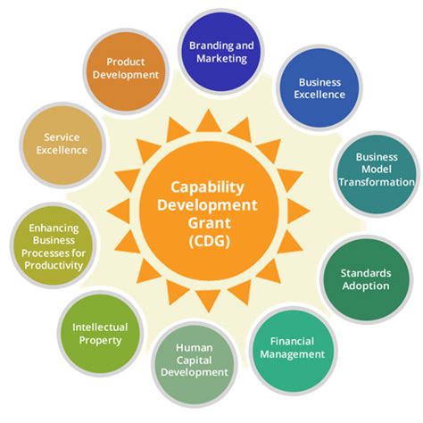 Capabilities Development Grants