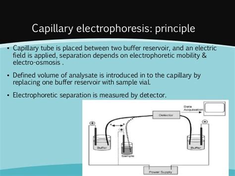 Capillary Electrophoresis Principles and Practice Doc