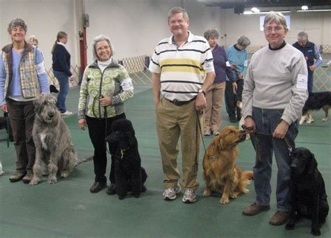 Capital Dog Training Club MD: Unleashing Canine Potential