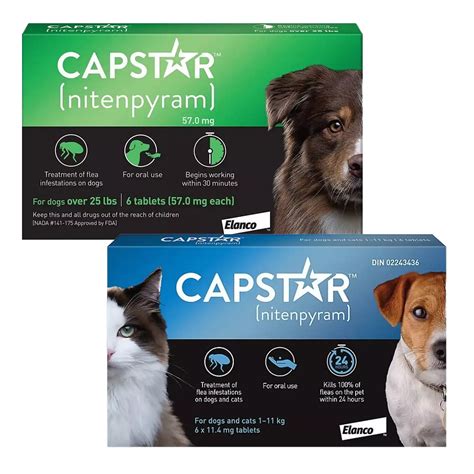 Capstar Flea Tablets for Dogs: Your Comprehensive Guide to Effective Flea Control