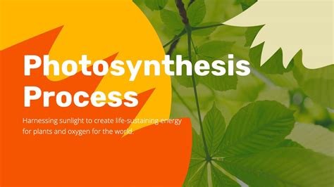 Captivate Your Students with a Stellar Photosynthesis PPT: Download Ready-Made Templates Now!