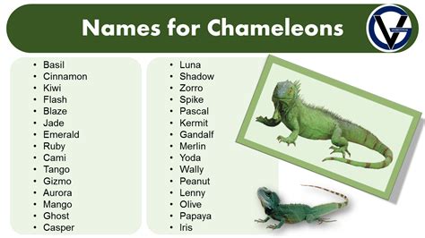 Captivating Chameleon Female Names: A Comprehensive Guide