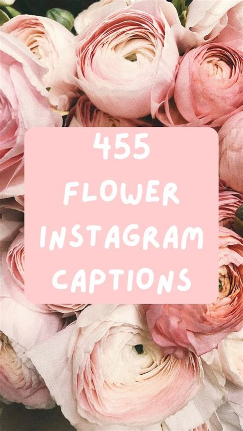 Captivating Flowers Caption for Instagram: Crafting Unforgettable Posts