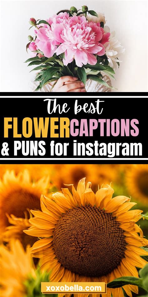 Captivating Flowers Caption for Instagram: Unleash the Power of Bloomin' Photos