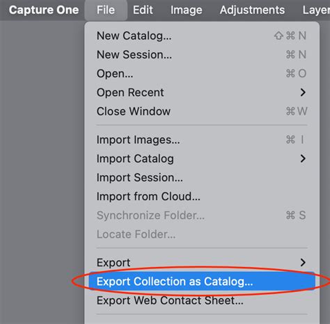 Capture One 10 Catalog Failed Basic Checks
