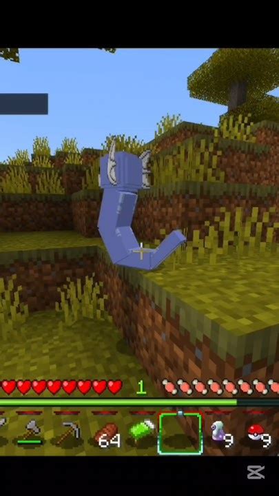 Capture the Magic of Pokémon in Minecraft