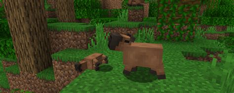 Capybara Promenade Minecraft 2023