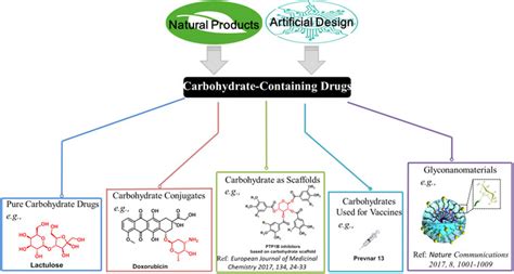 Carbohydrate Drug Design Epub