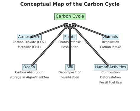 Carbon Cycle Concept Map Answers Doc