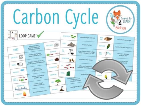 Carbon Cycle Game Answers PDF