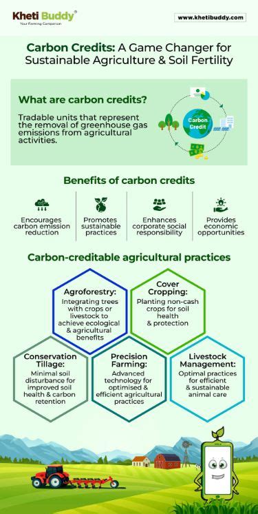 Carbon Fertilizer: A Game-Changer for Sustainable Agriculture