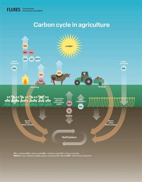 Carbon X Fertilizer: Unlocking the Key to Sustainable Farming in 2023