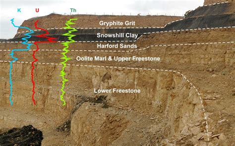 Carbonate Sedimentology Kindle Editon