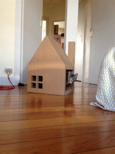 Cardboard Boxes for Cats: The Purrfect Playground