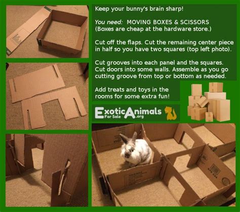 Cardboard Bunny Toys: A Fun and Educational Activity for All Ages