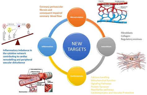 Cardiac Drug Therapy Epub