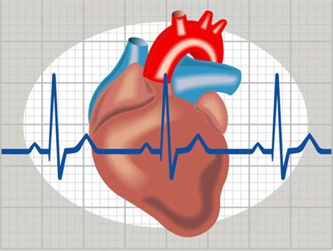 Cardiac arrhythmias and heart failure: