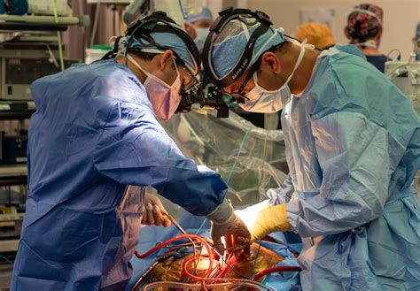 Cardiology and Cardiac Surgery: