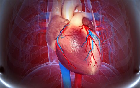 Cardiovascular Diseases: