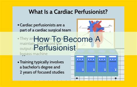 Cardiovascular Perfusionist Programs in Florida: A Comprehensive Guide