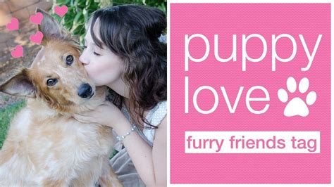 Care a Lot Pets: 5 Ways to Show You Love Your Furry Friends