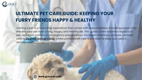 Care a Lot for Your Pet: The Ultimate Guide to Keeping Your Furry Friend Healthy and Happy