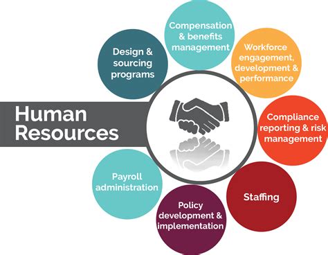 Career Growth and Human Resource Strategies The Role of the Human Resource Professional in Employee PDF